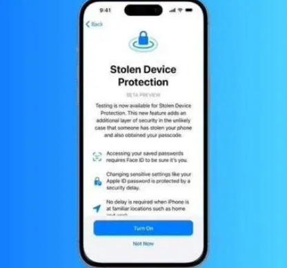 云龙苹果授权维修店分享被盗设备保护功能开启方法 