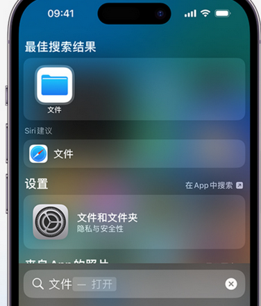 云龙apple维修中心分享iPhone文件应用中存储和找到下载文件 