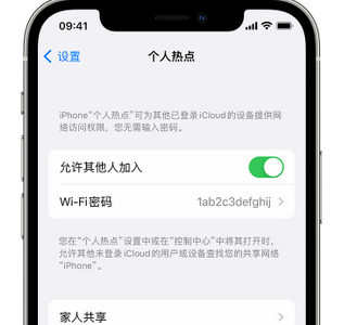 云龙apple服务站点分享iPhone上个人热点丢失了怎么办 