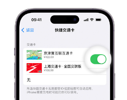 云龙apple维修点分享iPhone上更换Apple Pay快捷交通卡手绘卡面 