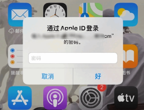 云龙苹果设备维修分享无故多次要求输入AppleID密码怎么办 