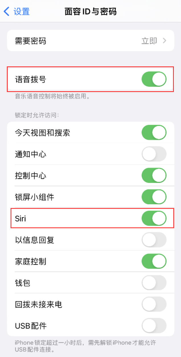 云龙苹果维修网点分享不解锁 iPhone 的情况下通过 Siri 拨打电话的方法 