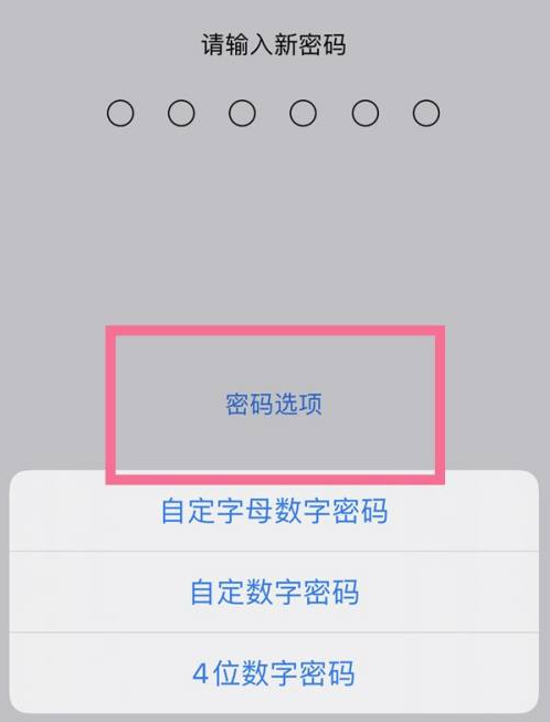 云龙苹果14维修分享iPhone 14plus设置密码的方法 