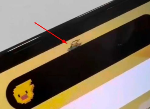 云龙苹果14维修分享iPhone 14 Pro Max灵动岛怎么养宠物 