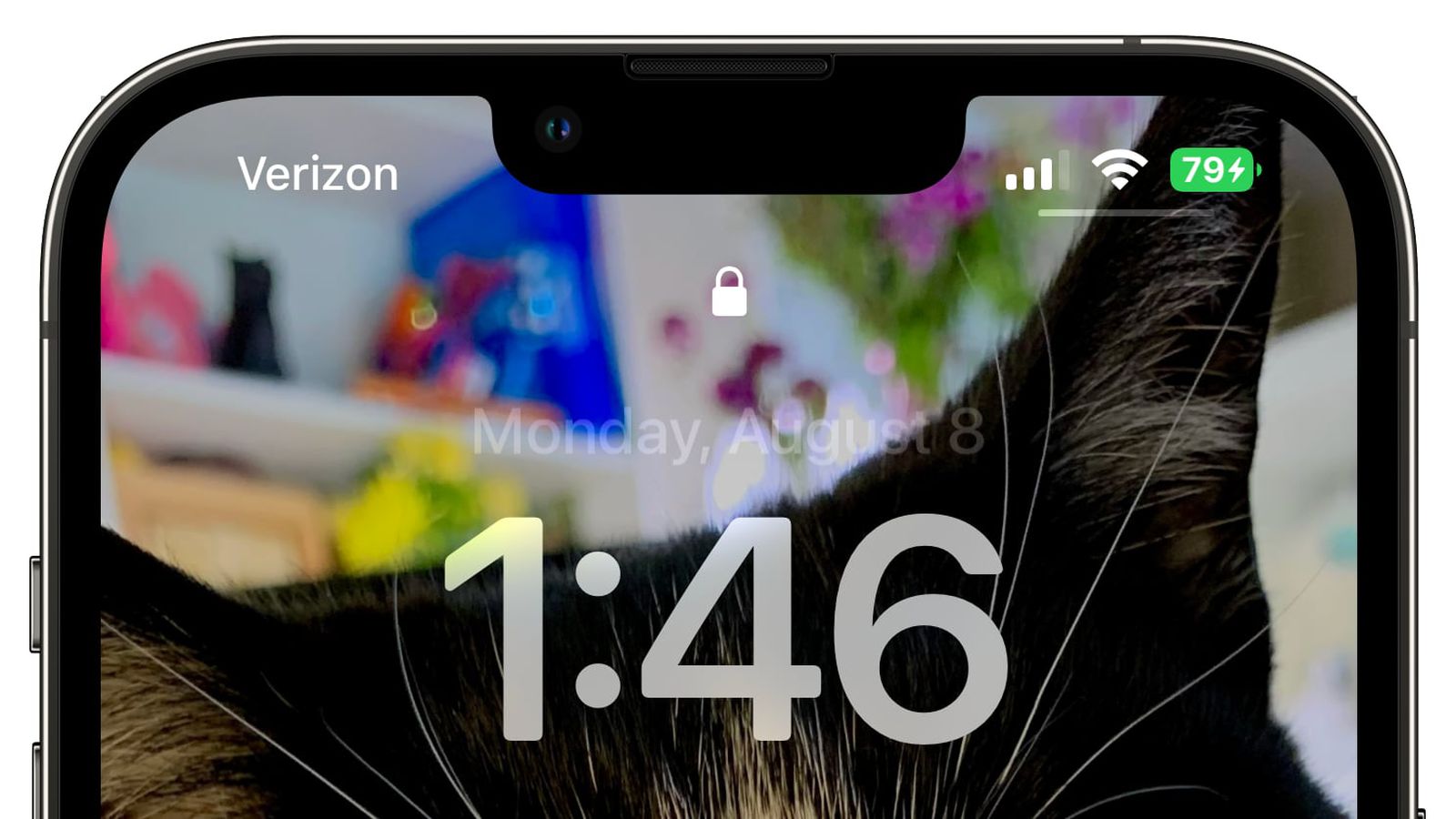 云龙苹果手机维修分享iOS 16 beta 5 支持状态栏显示电池百分比，如何开启？支持哪些机型 