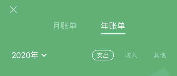云龙苹果手机维修分享如何在 iPhone 上查看支付宝和微信年支出账单 