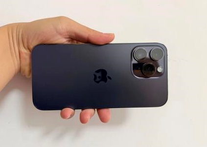 云龙苹果维修点分享iPhone 14 Pro Max黑屏少见故障盘点 